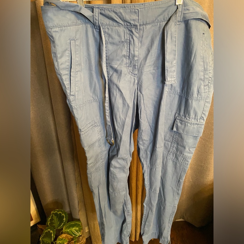 Ann Taylor loft pants